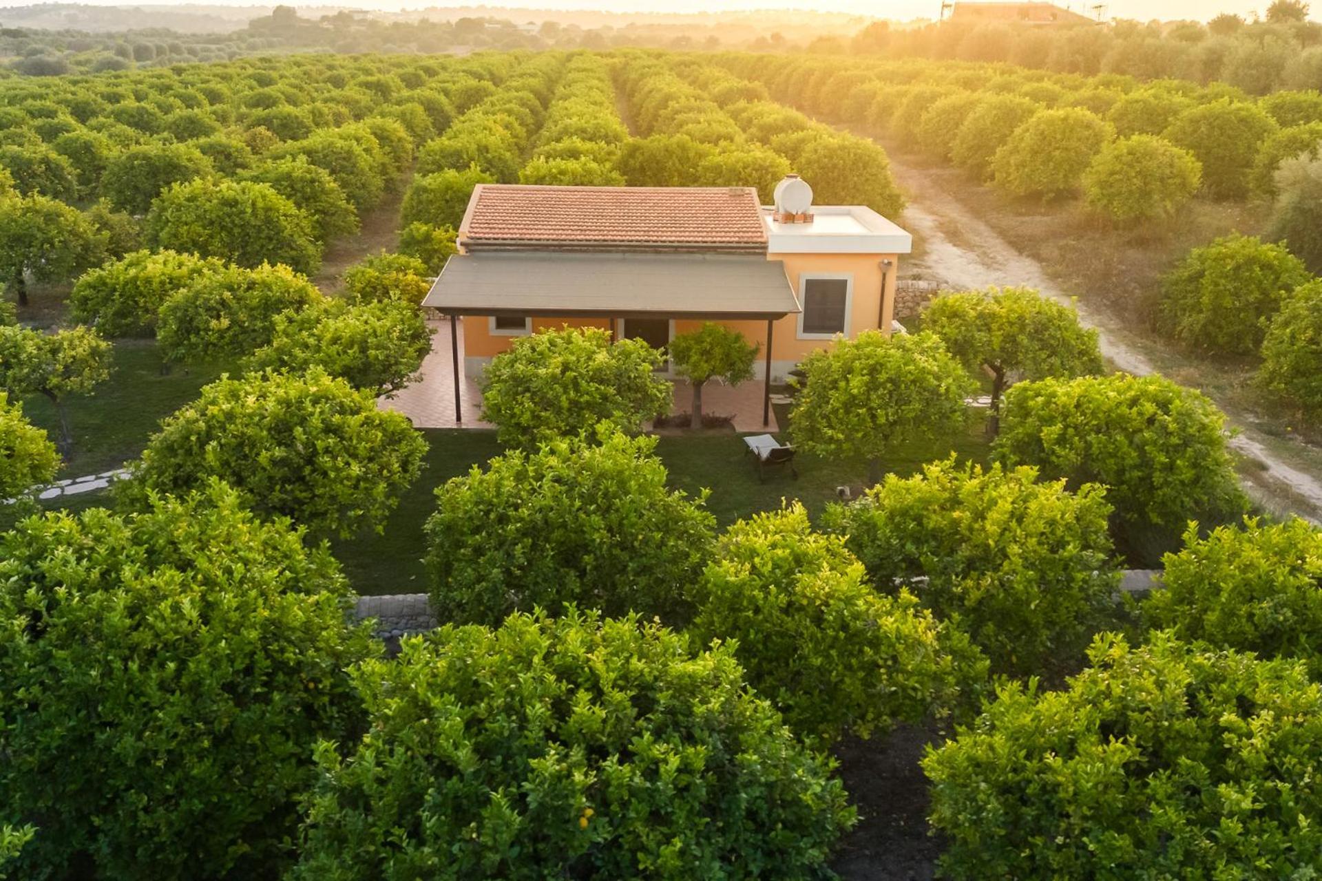 נוטו Fiore Di Vendicari B&B - Sicilian Charme, Lemon Grove And Sea מראה חיצוני תמונה